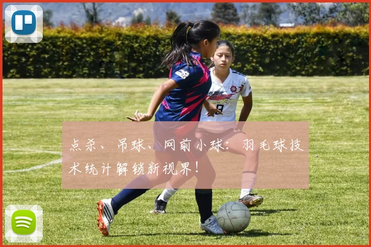 点杀、吊球、网前小球:羽毛球技术统计解锁新视界!